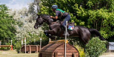 I PERFORMER EVENTING AA oggi IN EUROPA