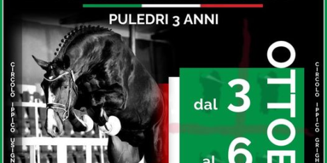 62° Premio Regionale Sardo – 2024 – 3 ANNI 