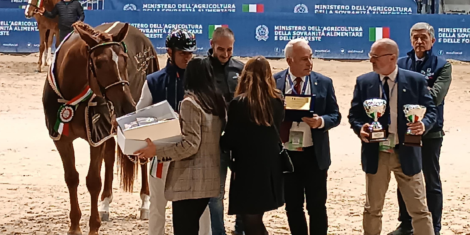 FIERACAVALLI VERONA 2024 E ALLEVAMENTO